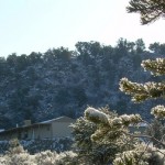 DSCN5273